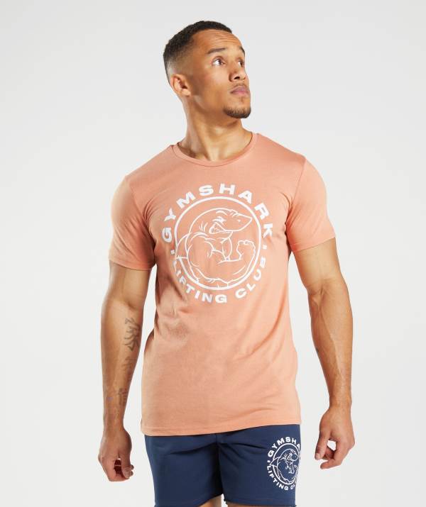 Panske Tricka Gymshark Legacy Ruzove | JY2741093
